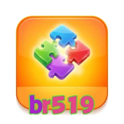 br519